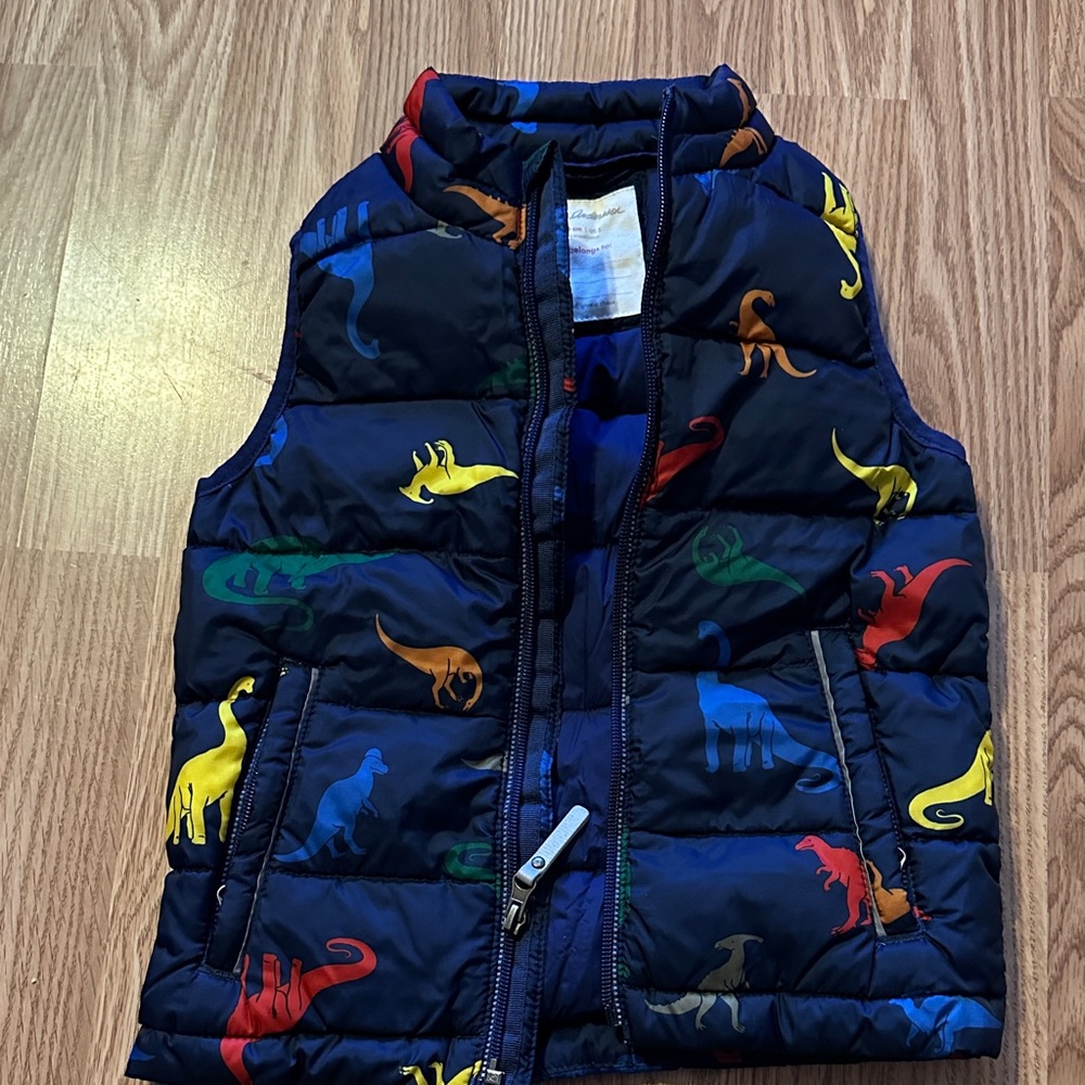 Kids Dinosaur Puffer Vest